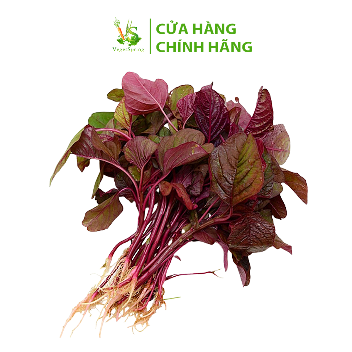 Rau Dền Đỏ Cất Gốc 200g